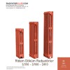 3-500 DemirDokum Ridem radyator 10 dilim Ral 2012